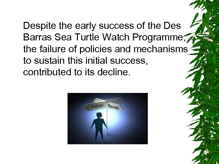 Despite the early success of the Des Barras Sea Turtle Watch Programme, the failure