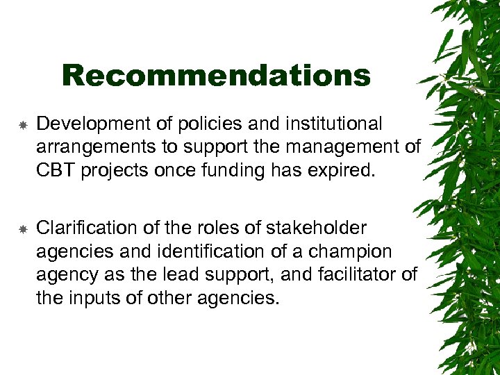 Recommendations Development of policies and institutional arrangements to support the management of CBT projects