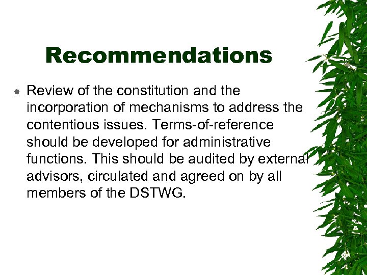 Recommendations Review of the constitution and the incorporation of mechanisms to address the contentious