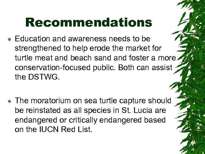 Recommendations Education and awareness needs to be strengthened to help erode the market for