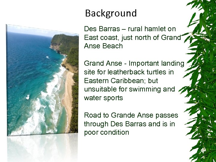 Background Des Barras – rural hamlet on East coast, just north of Grand Anse