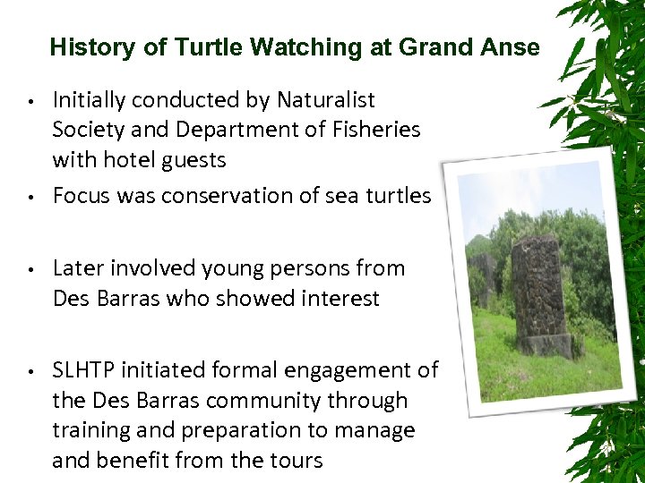 History of Turtle Watching at Grand Anse • • Initially conducted by Naturalist Society