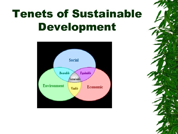 Tenets of Sustainable Development 