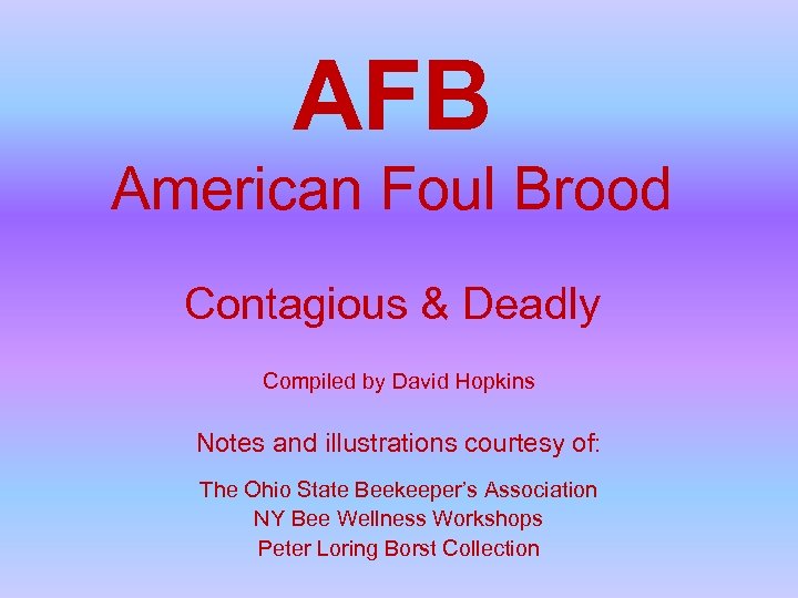 AFB American Foul Brood Contagious & Deadly Compiled by David Hopkins Notes and illustrations