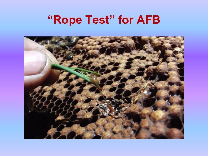 “Rope Test” for AFB 