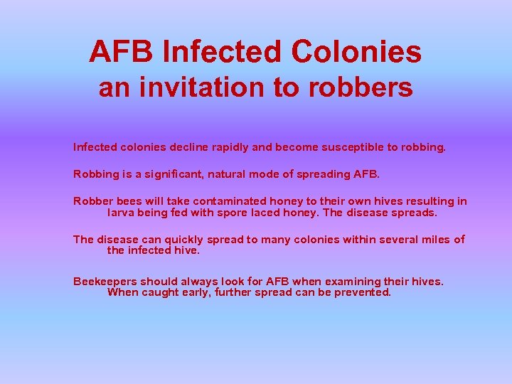 AFB Infected Colonies an invitation to robbers Infected colonies decline rapidly and become susceptible