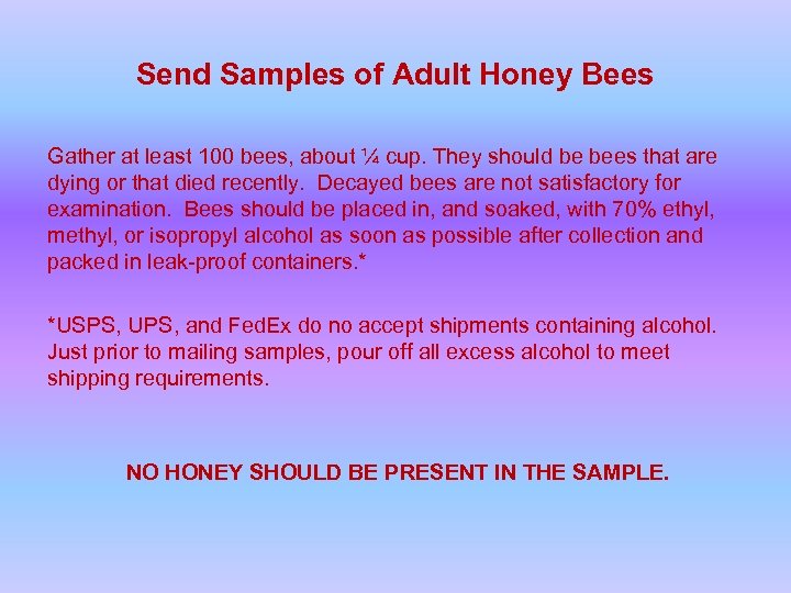 Send Samples of Adult Honey Bees Gather at least 100 bees, about ¼ cup.