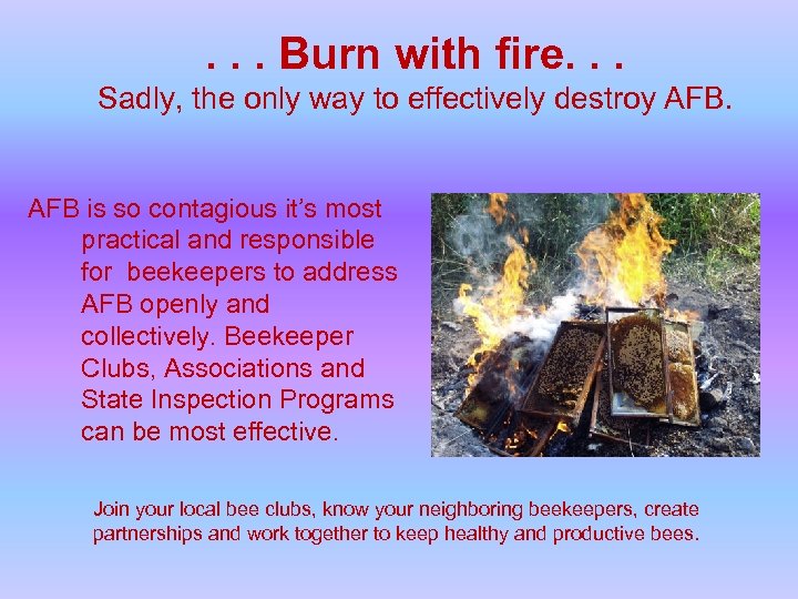 . . . Burn with fire. . . Sadly, the only way to effectively