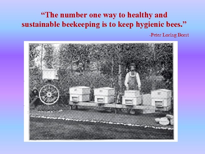 “The number one way to healthy and sustainable beekeeping is to keep hygienic bees.