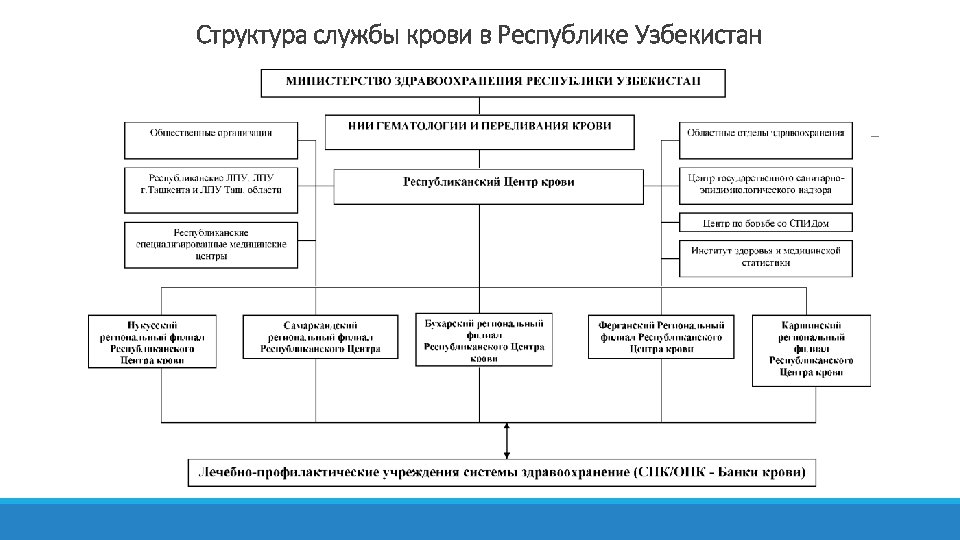 Структура службы крови в Республике Узбекистан 