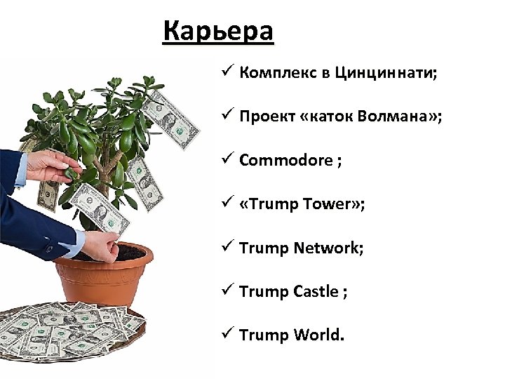 Карьера ü Комплекс в Цинциннати; ü Проект «каток Волмана» ; ü Commodore ; ü