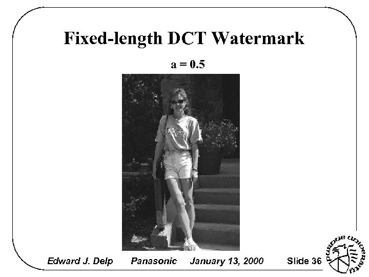 Fixed-length DCT Watermark a = 0. 5 Edward J. Delp Panasonic January 13, 2000