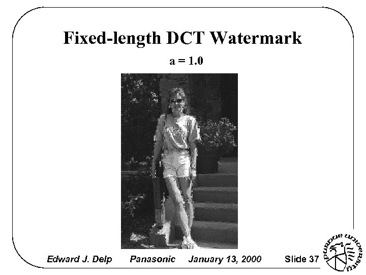 Fixed-length DCT Watermark a = 1. 0 Edward J. Delp Panasonic January 13, 2000