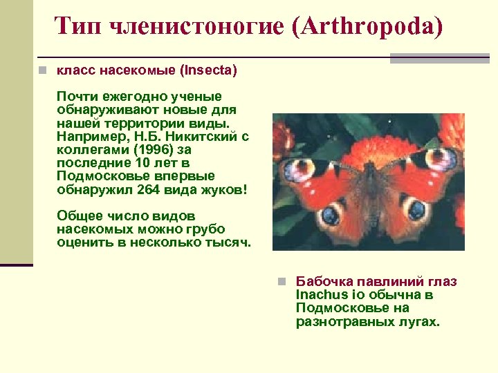 Тип членистоногие (Arthropoda) n класс насекомые (Insecta) Почти ежегодно ученые обнаруживают новые для нашей