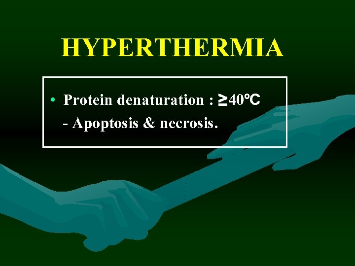 HYPERTHERMIA • Protein denaturation : ≥ 40ºC - Apoptosis & necrosis. 