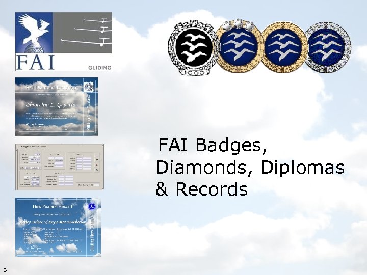  FAI Badges, Diamonds, Diplomas & Records 3 