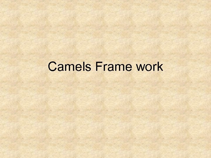 Camels Frame work 