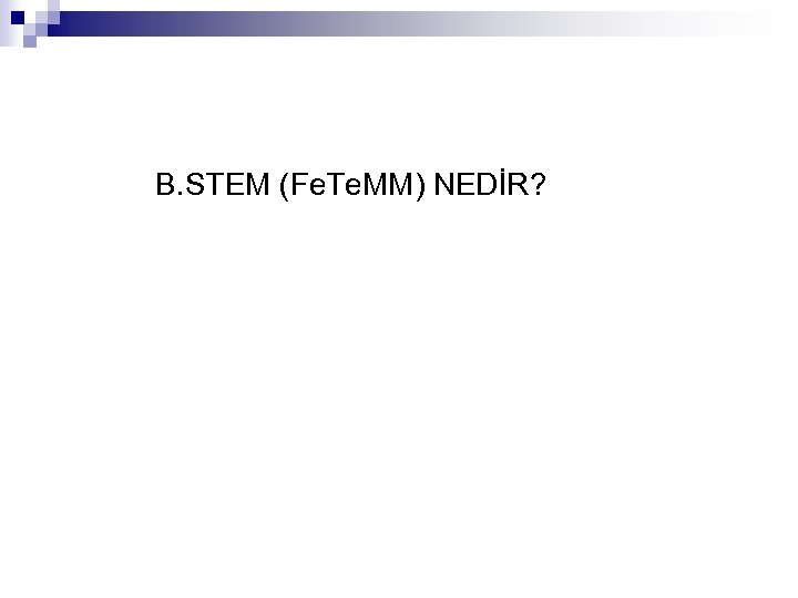 B. STEM (Fe. Te. MM) NEDİR? 