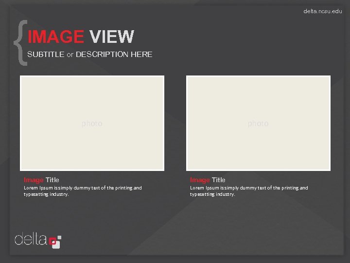 delta. ncsu. edu { IMAGE VIEW SUBTITLE or DESCRIPTION HERE photo Image Title Lorem