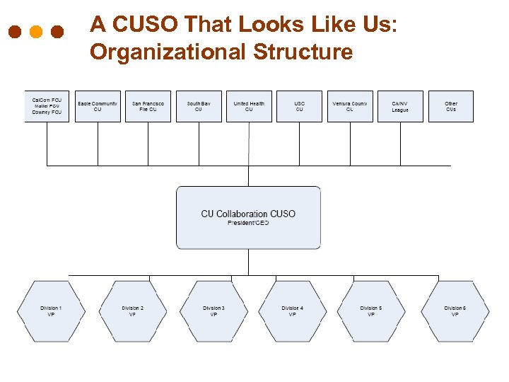A CUSO That Looks Like Us: Organizational Structure 
