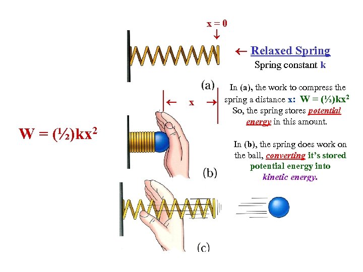 x=0 Relaxed Spring constant k W= (½)kx 2 x In (a), the work to