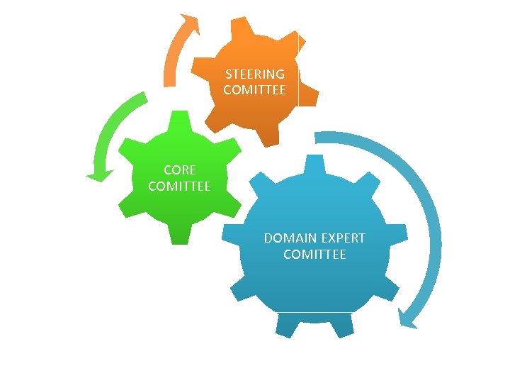STEERING COMITTEE CORE COMITTEE DOMAIN EXPERT COMITTEE 