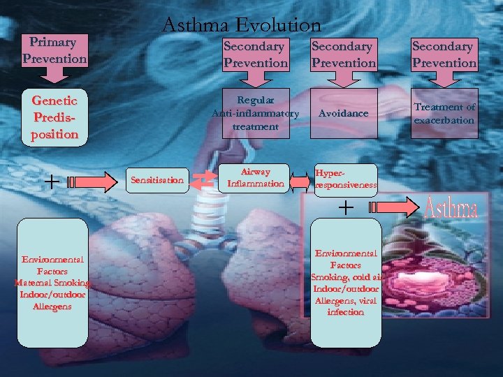 Primary Prevention Asthma Evolution Secondary Prevention + Environmental Factors Maternal Smoking Indoor/outdoor Allergens Sensitisation
