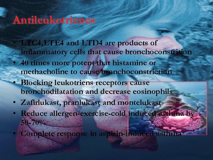 Antileukotrienes • LTC 4, LTE 4 and LTD 4 are products of inflammatory cells