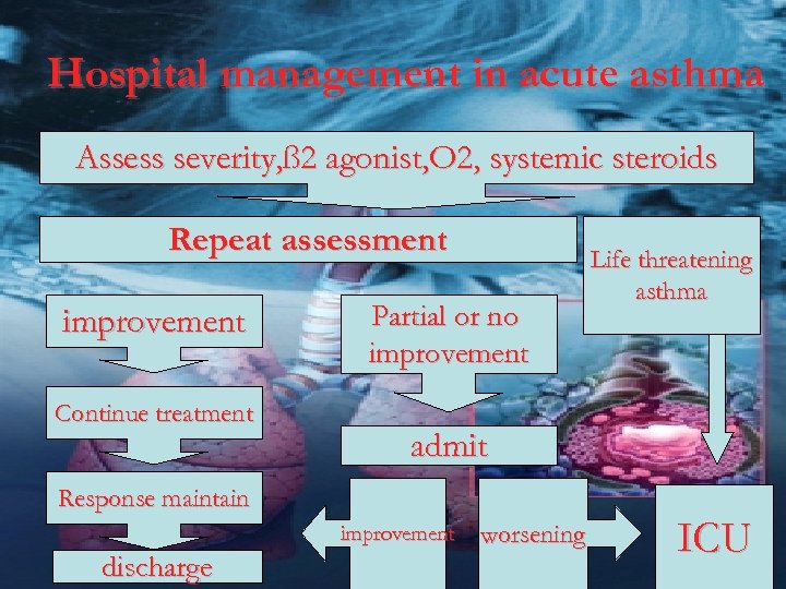 Hospital management in acute asthma Assess severity, ß 2 agonist, O 2, systemic steroids