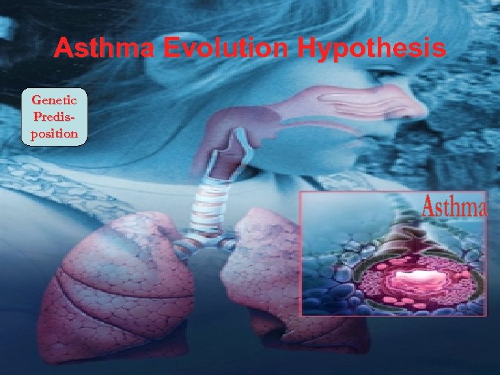 Asthma Evolution Hypothesis Genetic Predisposition 