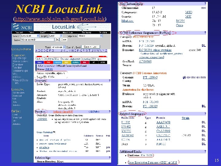 NCBI Locus. Link (http: //www. ncbi. nlm. nih. gov/Locus. Link) 15 