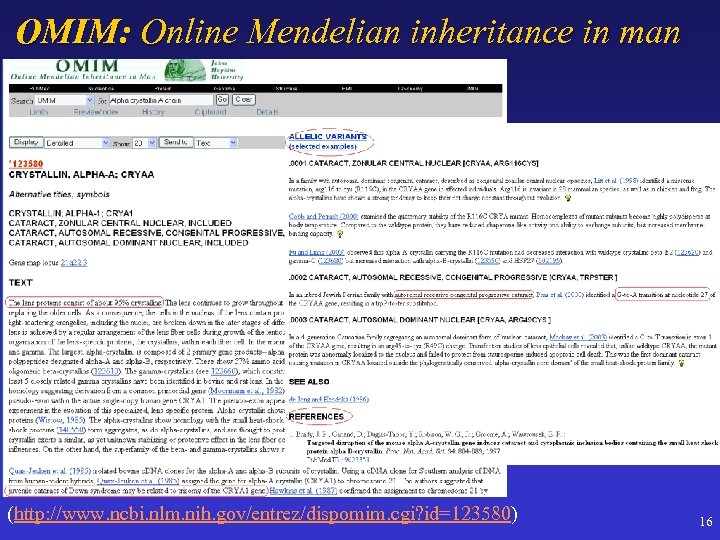 OMIM: Online Mendelian inheritance in man (http: //www. ncbi. nlm. nih. gov/entrez/dispomim. cgi? id=123580)