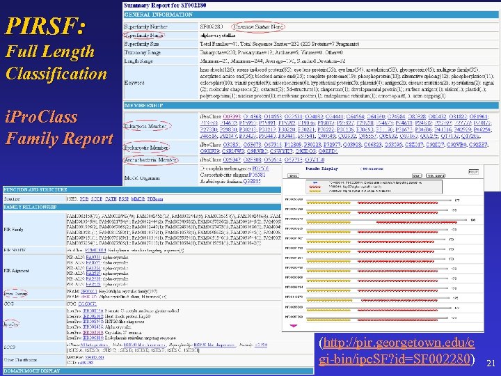 PIRSF: Full Length Classification i. Pro. Class Family Report (http: //pir. georgetown. edu/c gi-bin/ipc.