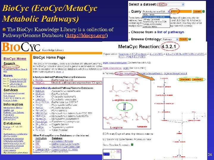 Bio. Cyc (Eco. Cyc/Meta. Cyc Metabolic Pathways) The Bio. Cyc Knowledge Library is a