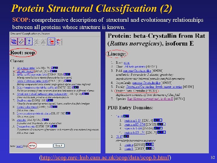 Protein Structural Classification (2) SCOP: comprehensive description of structural and evolutionary relationships between all