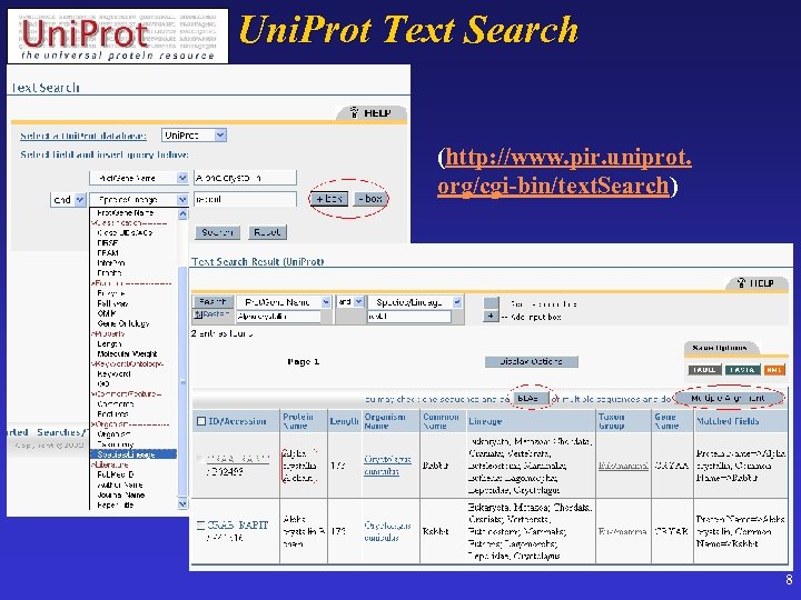 Uni. Prot Text Search (http: //www. pir. uniprot. org/cgi-bin/text. Search) 8 