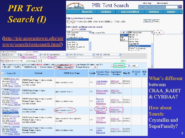 PIR Text Search (I) (http: //pir. georgetown. edu/pir www/search/textsearch. html) What’s different between CRAA_RABIT