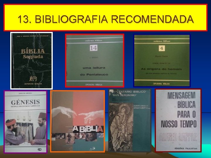 13. BIBLIOGRAFIA RECOMENDADA 