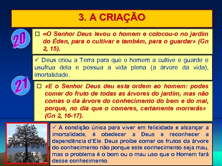 3. A CRIAÇÃO «O Senhor Deus levou o homem e colocou-o no jardim do