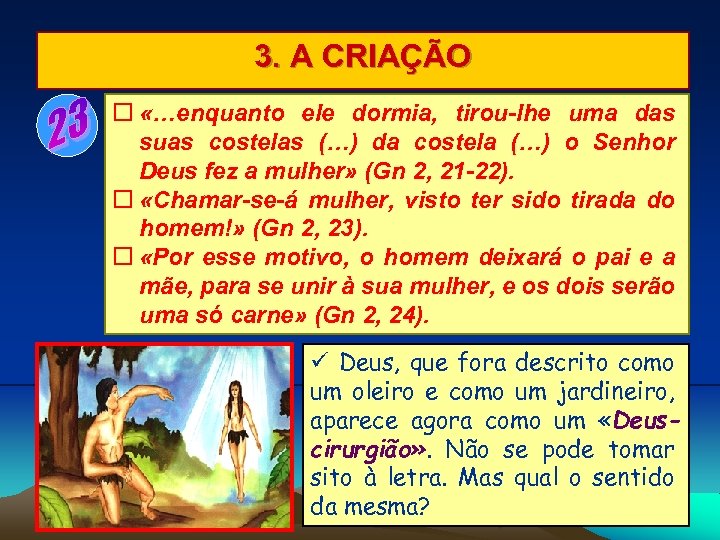 3. A CRIAÇÃO «…enquanto ele dormia, tirou-lhe uma das suas costelas (…) da costela