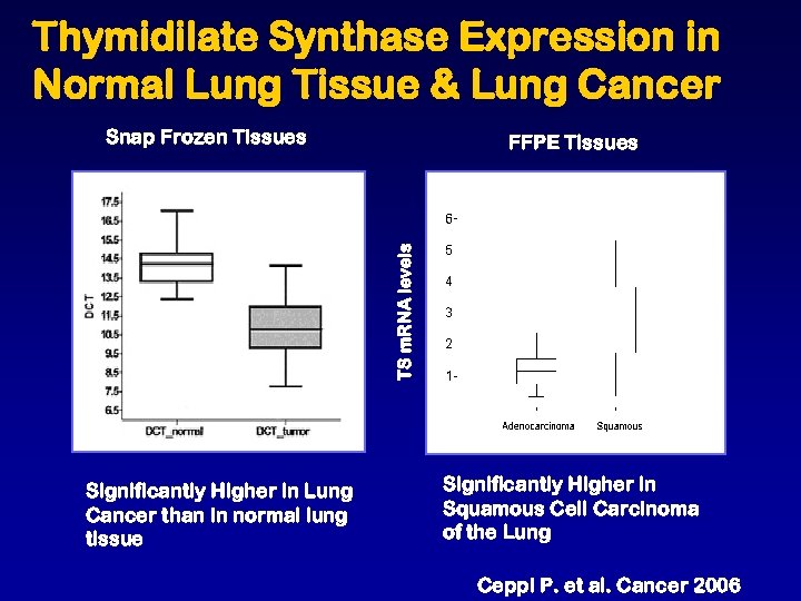 Thymidilate Synthase Expression in Normal Lung Tissue & Lung Cancer Snap Frozen Tissues TS