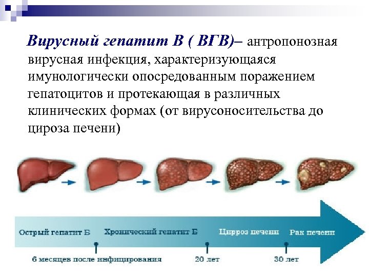 Гепатиты передающиеся энтеральным