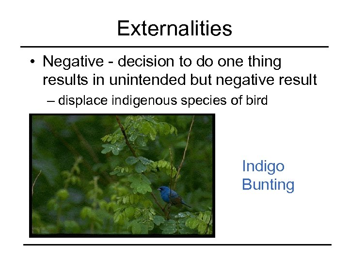 Externalities • Negative - decision to do one thing results in unintended but negative