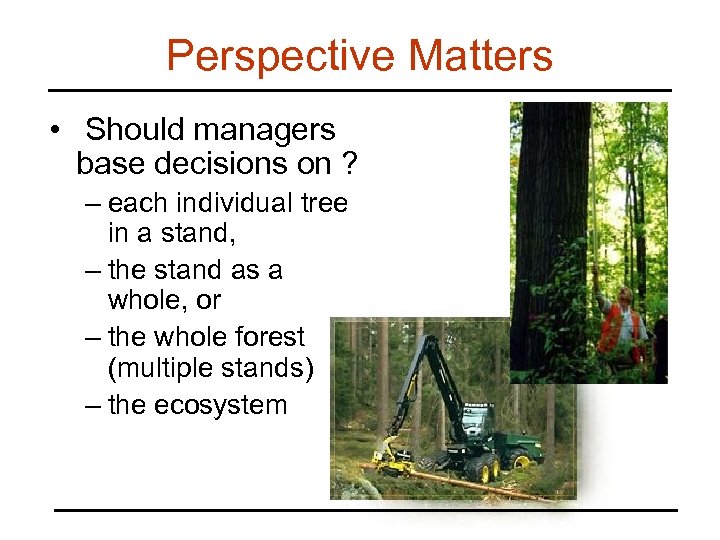 Perspective Matters • Should managers base decisions on ? – each individual tree in