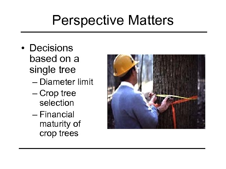 Perspective Matters • Decisions based on a single tree – Diameter limit – Crop