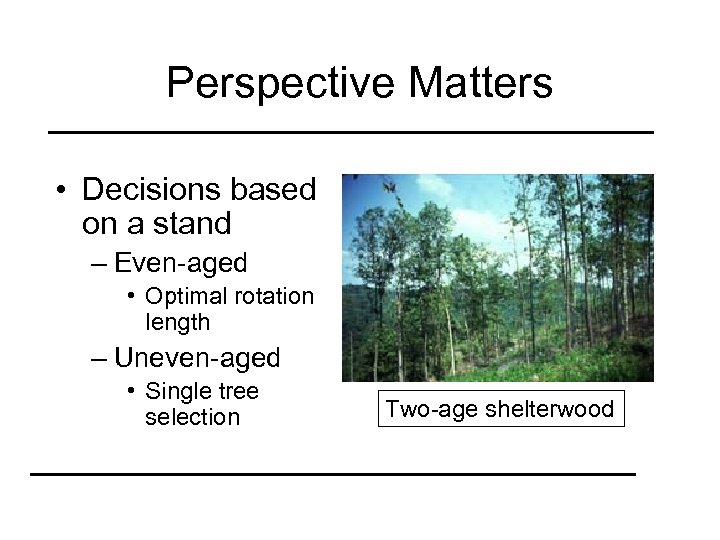 Perspective Matters • Decisions based on a stand – Even-aged • Optimal rotation length