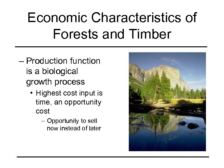 Economic Characteristics of Forests and Timber – Production function is a biological growth process