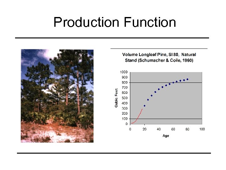 Production Function 