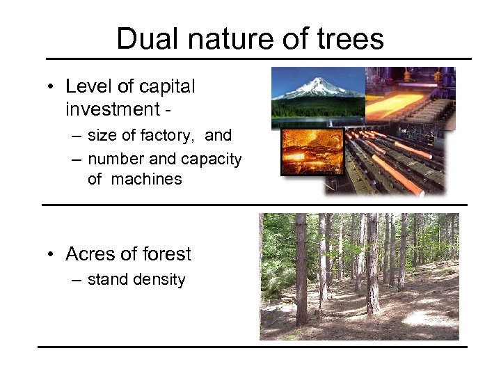 Dual nature of trees • Level of capital investment – size of factory, and