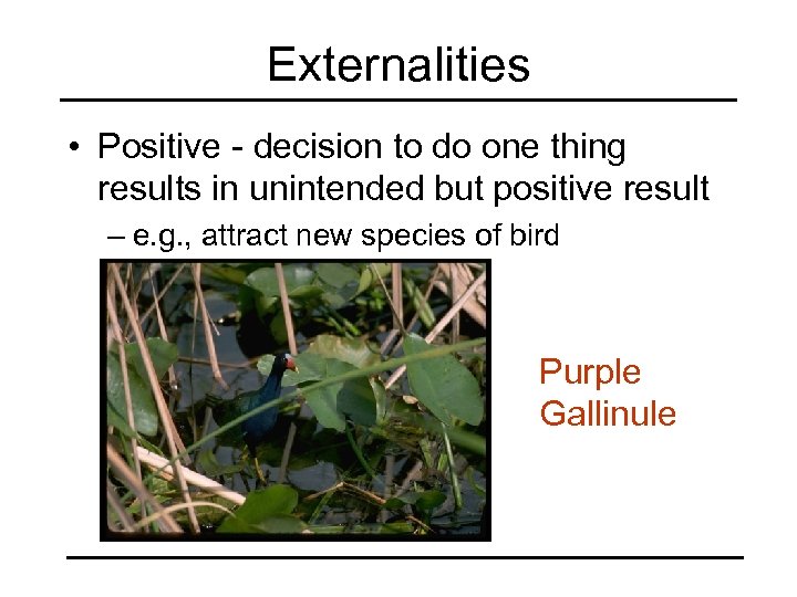 Externalities • Positive - decision to do one thing results in unintended but positive